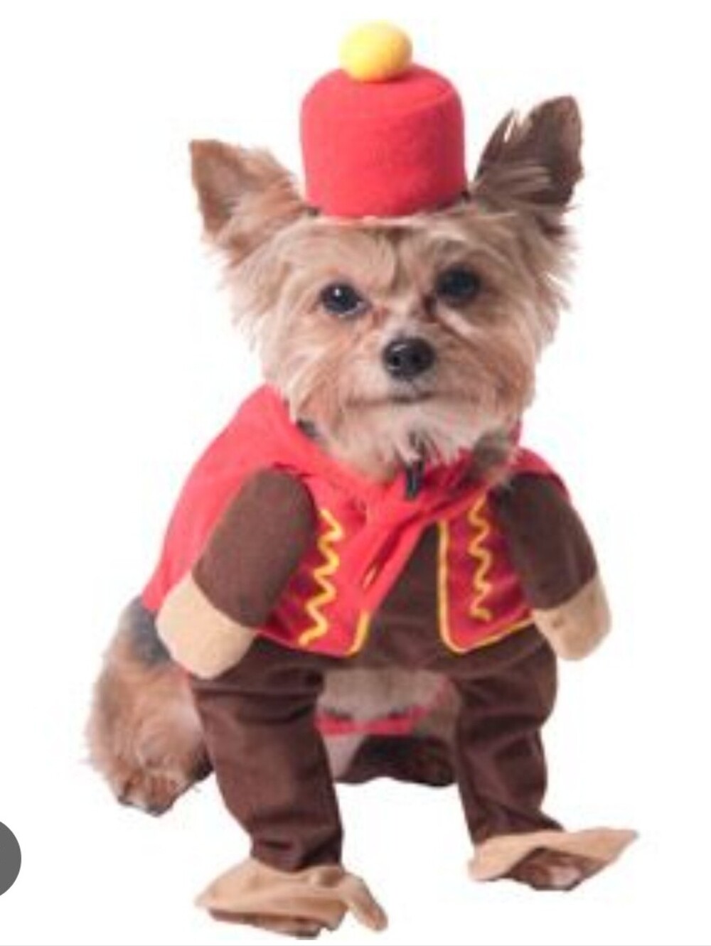 Small Dog Circus Monkey Costume